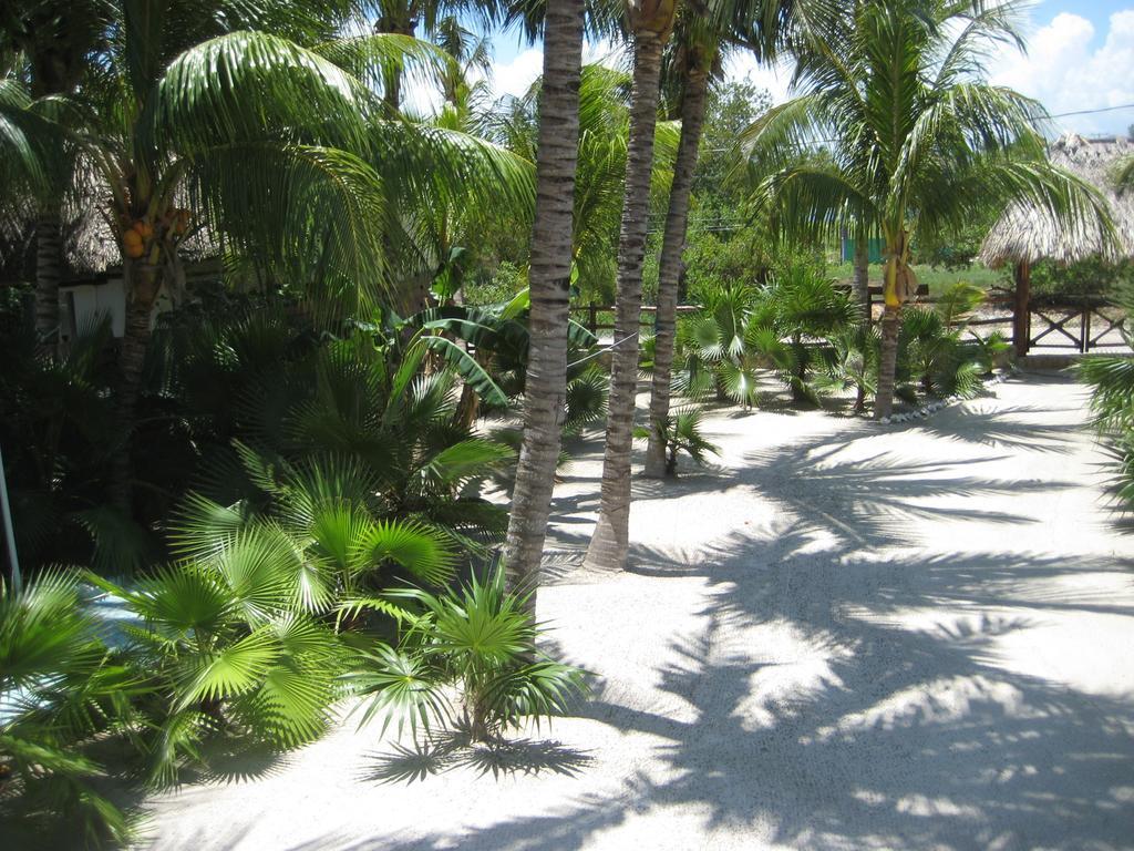 Beach Guesthouse Holbox Apartments & Suites Esterno foto