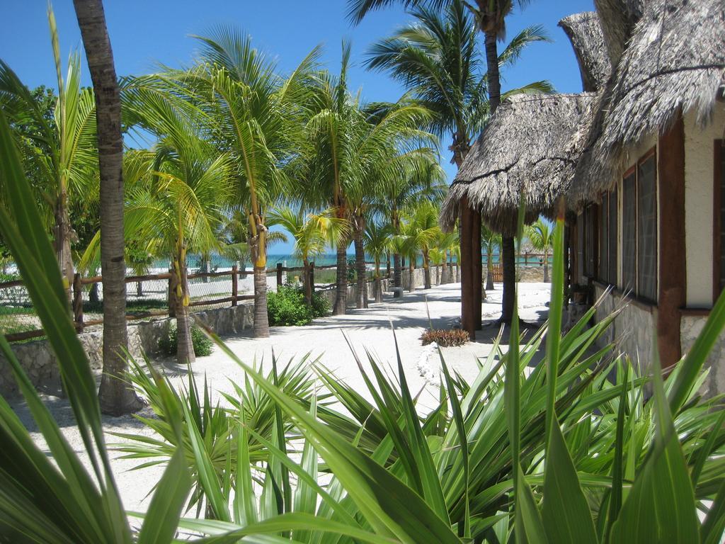 Beach Guesthouse Holbox Apartments & Suites Esterno foto